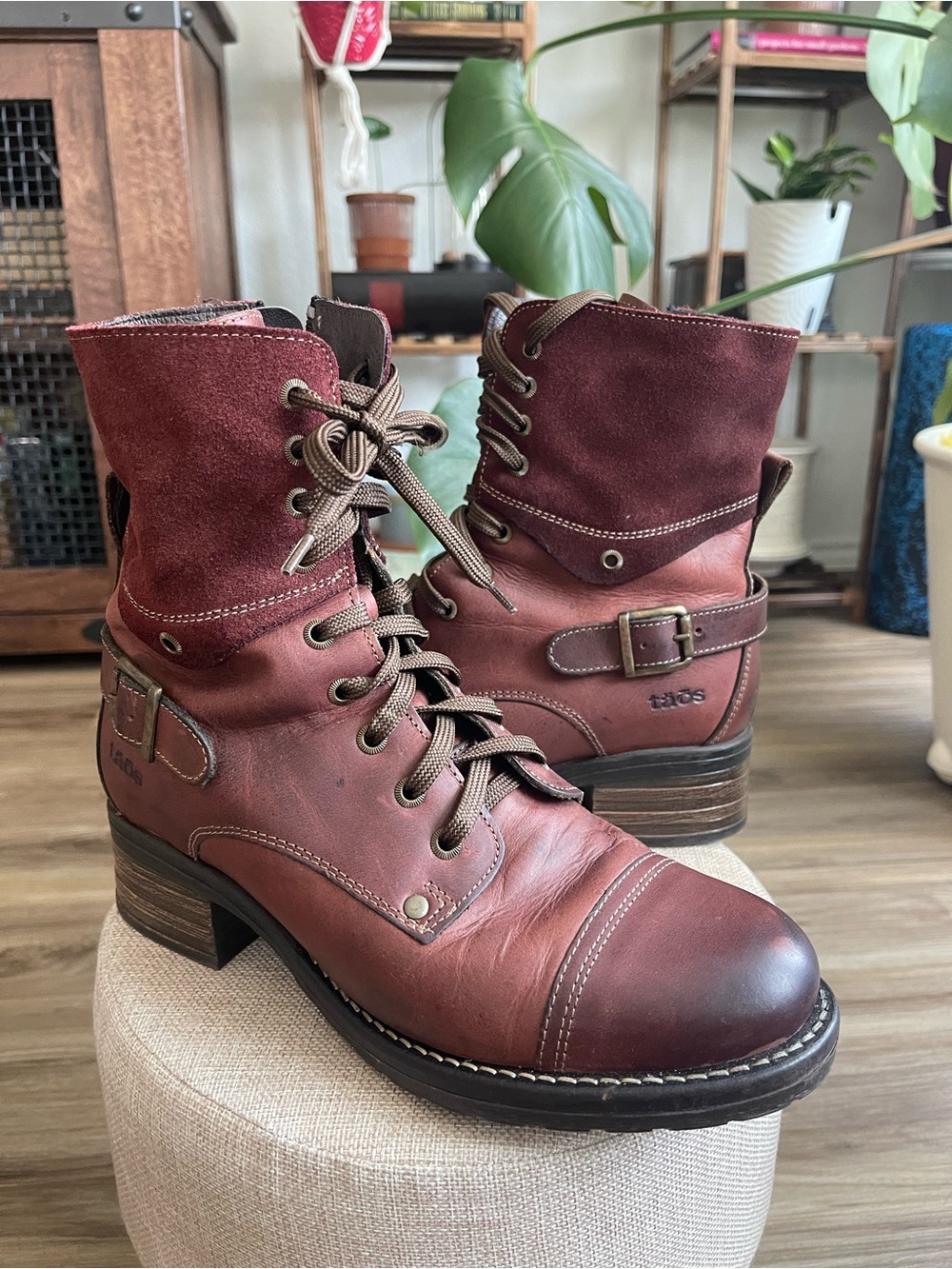 Taos Crave Burgundy Lace-Up Leather & Suede Ankle Boots size 8-8.5